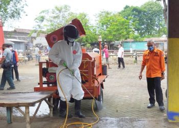 BPBD Jatim Lakukan Penyemprotan Cegah PMK Sapi